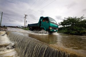 Natural Disasters and Production Networks in the Asia and Pacific Region