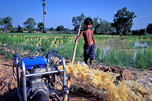 Reinvigorating agricultural productivity in the Lower Mekong