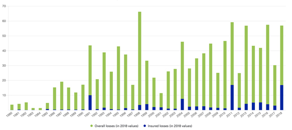 COVID-19 highlights the need to strengthen environmental risk ...