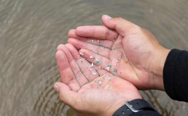 The Hidden Menace Of Microplastics - Asia Pathways