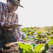 Internet and Agriculture