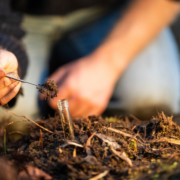 Securing Asia’s Future Through Soil Health